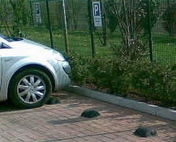 Butée de roue pour parking et garage - bloque-roue - PARKSTOP